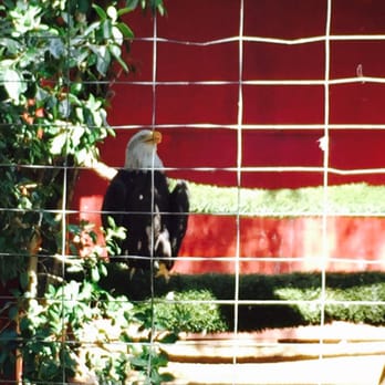 Wildlife Learning Center - Zoos Near Me - Sylmar, California Wildlife Learning Center - Zoos Near Me - Sylmar, California