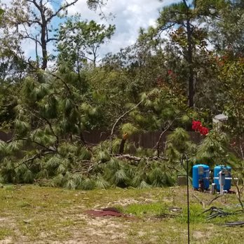Tip Top Tree Experts - Tree Services Near Me Tip Top Tree Experts - Tree Services Near Me