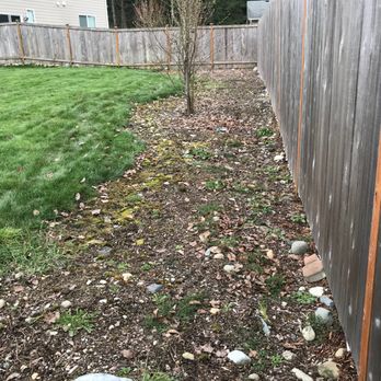 Tran's Landscaping & Gardening - Before - Landscaping Near Me