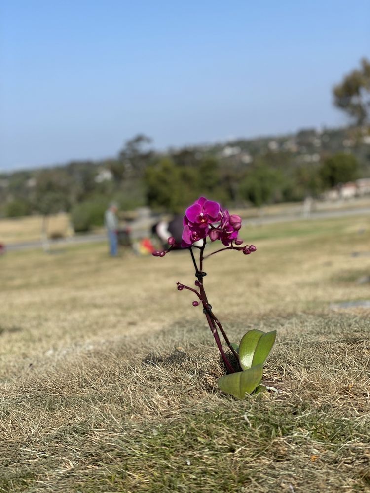 GLEN ABBEY MEMORIAL PARK AND MORTUARY Funeral Services & Cemeteries