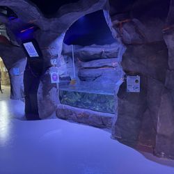 NorCal Aquarium and Wildlife - My favorite part/room