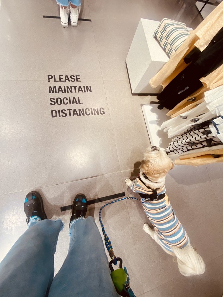 ZARA Updated September 2024 32 Photos & 112 Reviews 3251 20th Ave