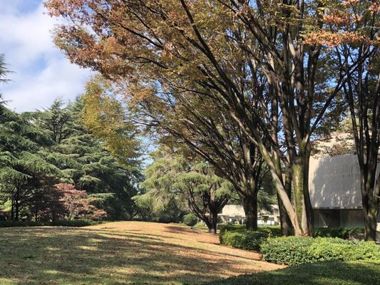 Setagaya Art Museum by null