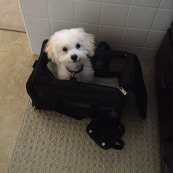 Wagsdale Dog Park - Ready to go to the park - Dog Parks Near Me - Ladera Ranch, California Wagsdale Dog Park - Ready to go to the park - Dog Parks Near Me - Ladera Ranch, California