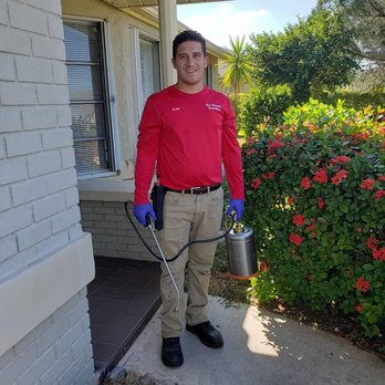 The Termite Detective - Pest Control Near Me - Cape Coral, Florida The Termite Detective - Pest Control Near Me - Cape Coral, Florida