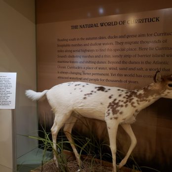 Outer Banks Center For Wildlife Education - Landmarks & Historical Buildings Near Me - Corolla, North Carolina