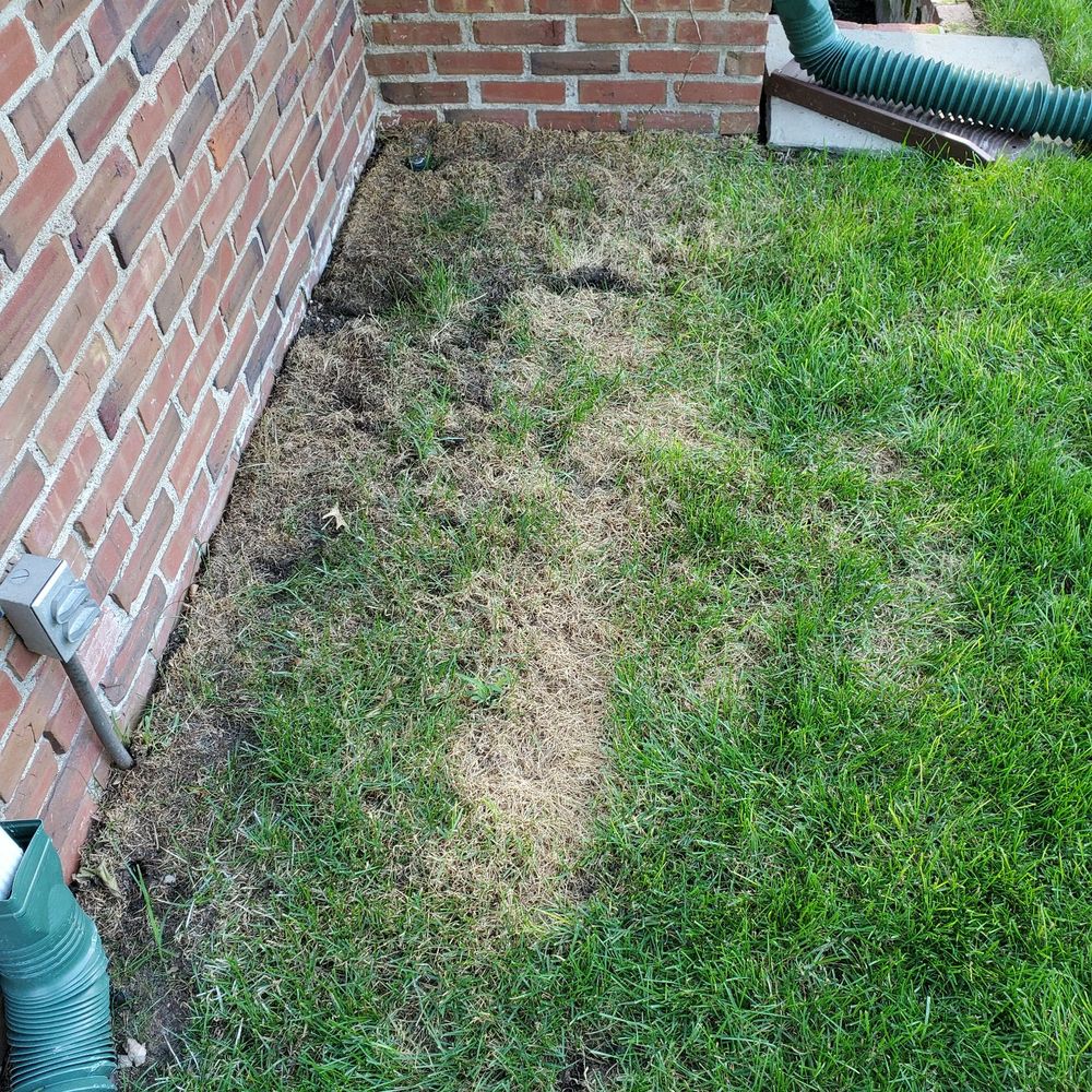 TruGreen Lawn Care - a brick wall with a green hose attached to it - Pest Control Near Me - Upper Saddle River, New Jersey TruGreen Lawn Care - a brick wall with a green hose attached to it - Pest Control Near Me - Upper Saddle River, New Jersey