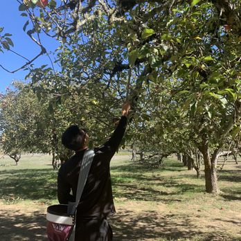 Apple-A-Day Ratzlaff Ranch - Fruits & Veggies Near Me - Sebastopol, California