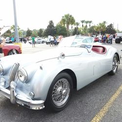 Houston Coffee & Cars