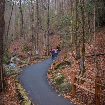 Anna Ruby Falls - Hiking Near Me - White, Georgia Anna Ruby Falls - Hiking Near Me - White, Georgia