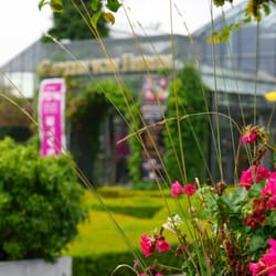 Garten von Ehren - Hach, Frische Blumen am Morfen. :)