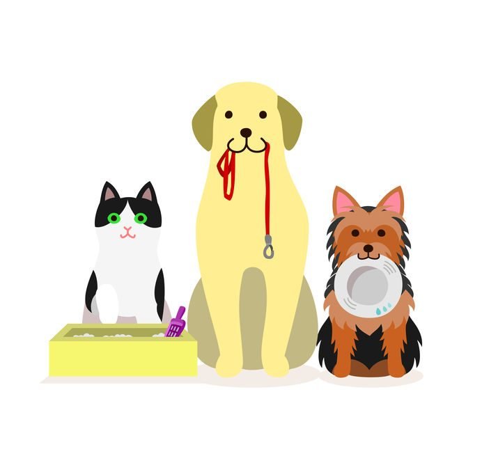 Natasha's Pet Services - pet boarding facility in Urban Honolulu, HI