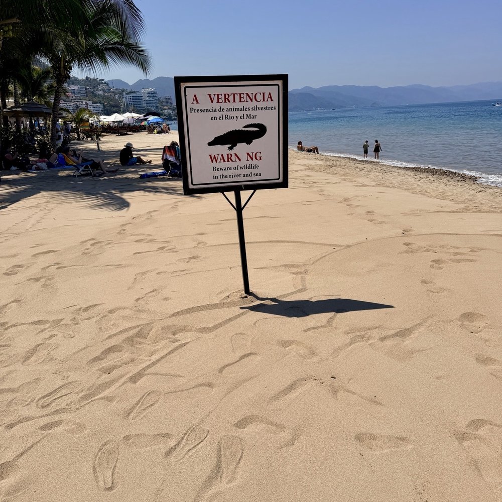 The Sea Monkey - Mexican Near Me - Puerto Vallarta, JAL