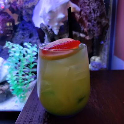 The Octopus Bar by null