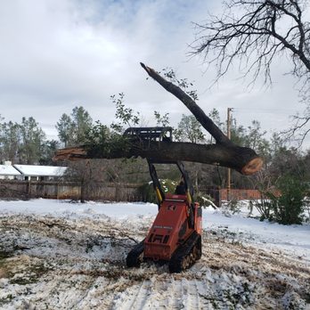 Oak Hills Landscaping - a tree being cut by a tractor - Landscaping Near Me - Elverta, California Oak Hills Landscaping - a tree being cut by a tractor - Landscaping Near Me - Elverta, California