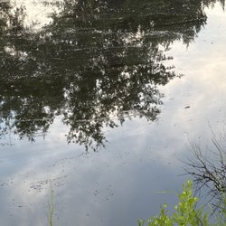 Avalon Landing Rv Park - Stuff floating in the water