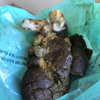 PetSmart - Cotton from the bedding at the pet hotel in his feces - Pet Stores Near Me - Canoga Park, California PetSmart - Cotton from the bedding at the pet hotel in his feces - Pet Stores Near Me - Canoga Park, California