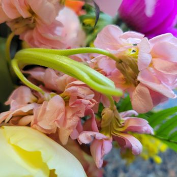 Fern and Bloom - Florists Near Me - Denver, Colorado Fern and Bloom - Florists Near Me - Denver, Colorado