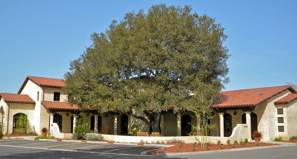 Alta Mesa Funeral Home And Memorial Park 695 Arastradero Rd Palo Alto Ca Funeral Homes Mapquest