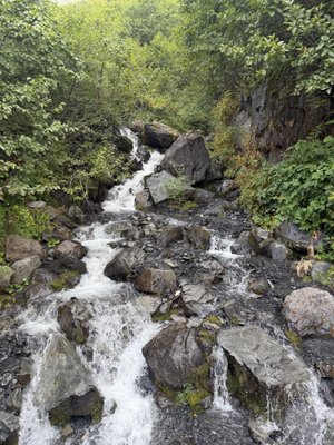 Kenai Fjords National Park by null