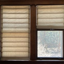 The Blind Man - Original Roman Shades
