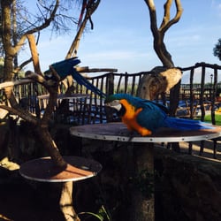 Rancho Grande Park