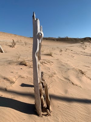 Sleeping Bear Dunes National Lakeshore by null