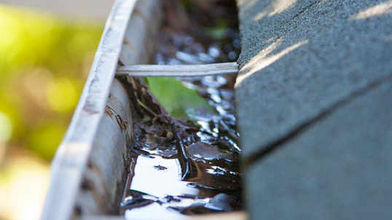 Slide of Got You Covered