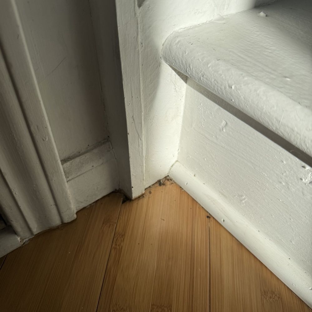 Total Shine Service - Floor - Home Cleaning Near Me - Riverwoods, Illinois Total Shine Service - Floor - Home Cleaning Near Me - Riverwoods, Illinois