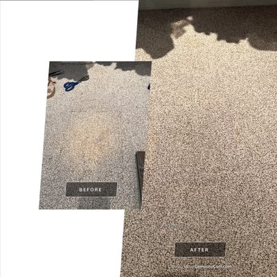 Phoenix Carpet Repair & Cleaning