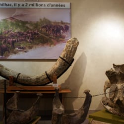 Musée de Paléontologie de Chilhac