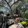 Photo of Lourdes Grotto-Oblate Fathers