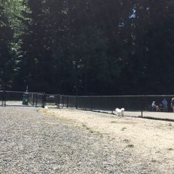 Small/Shy Dog Enclosure