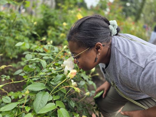 International Rose Test Garden by null International Rose Test Garden by null