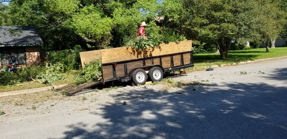 Cobos Landscape Solutions - tree service in Austin, TX