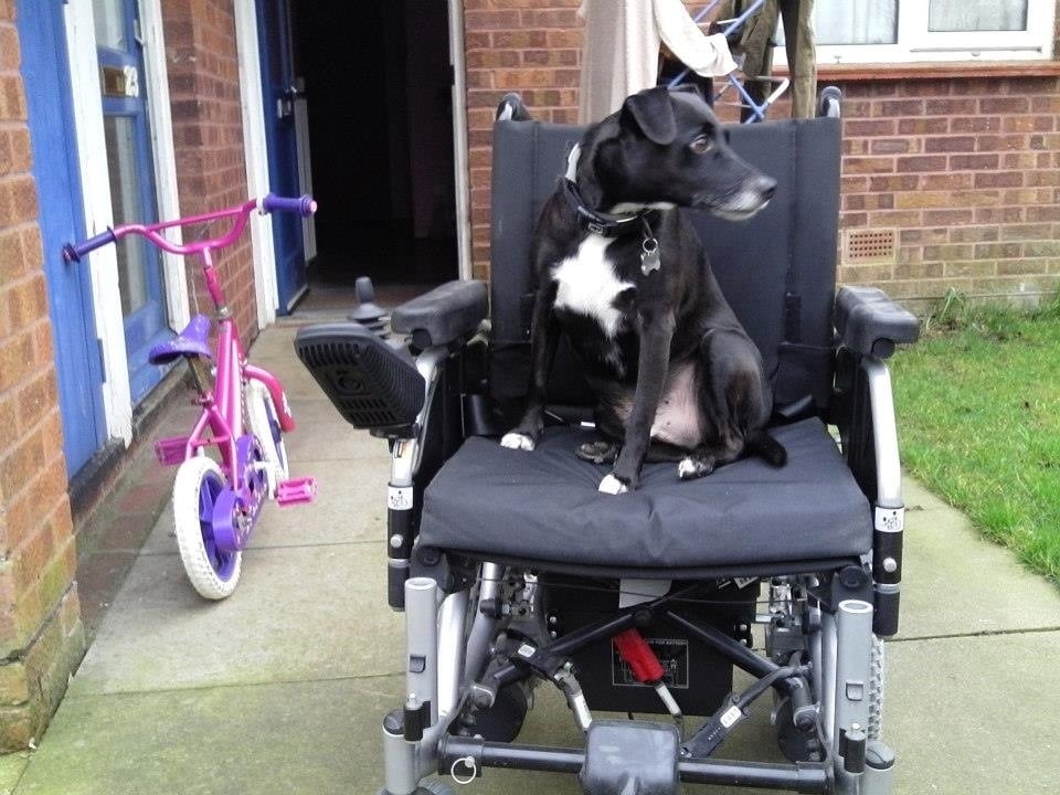 DRAYTON FISH & CHIPS Updated September 2024 161 Havant Road