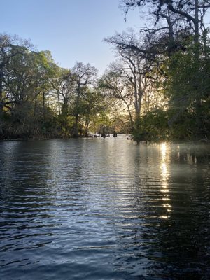Fanning Springs State Park by null