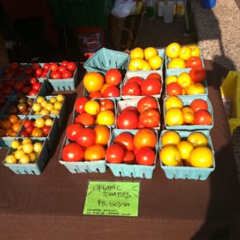 Lansdowne Farmers Market - Farmers Market Near Me - Lansdowne, Pennsylvania Lansdowne Farmers Market - Farmers Market Near Me - Lansdowne, Pennsylvania