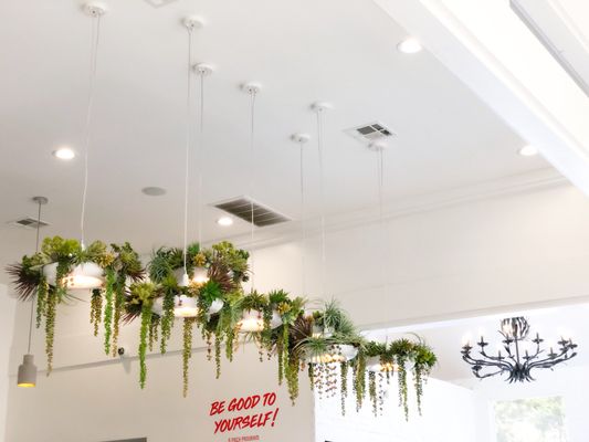 Juicy Ladies by null