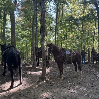 Smoky Mountain Trail Rides - 15 min break zone - Horseback Riding Near Me - Marshall, North Carolina