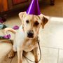 Photo of Keauhou Veterinary Hospital
