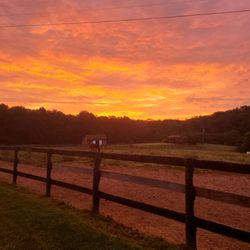 Just one of the beautiful horse pastures
