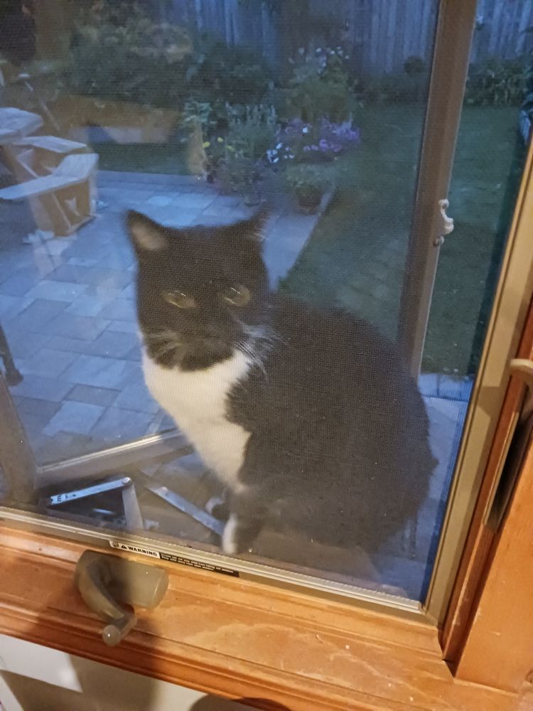 KRAUSE VETERINARY CLINIC Updated October 2024 18 Reviews 72025