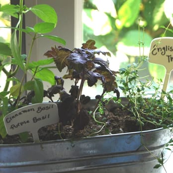 Parkview Nursery - 3 new herbs - Nurseries & Gardening Near Me - Riverside, California Parkview Nursery - 3 new herbs - Nurseries & Gardening Near Me - Riverside, California