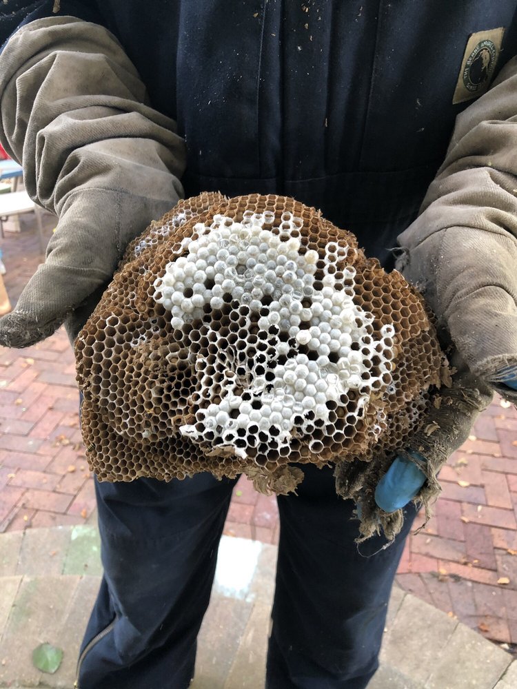 ONCE UPON A BUG Updated September 2024 15 Photos & 15 Reviews 7717 Geneva Dr, Gurnee