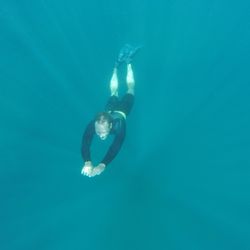 UnderDog Dive