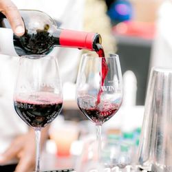 Hilton Head Island Wine and Food Festival