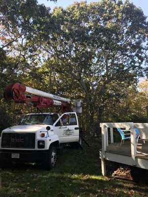 Emergency Tree Services - We take care of all tree related work on Martha's Vineyard. Call us for tree cutting, logging, and removal, we have the experience and the crew to properly do it.