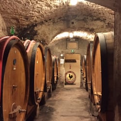 Taverna Squarcialupi - Winery tour following a great lunch