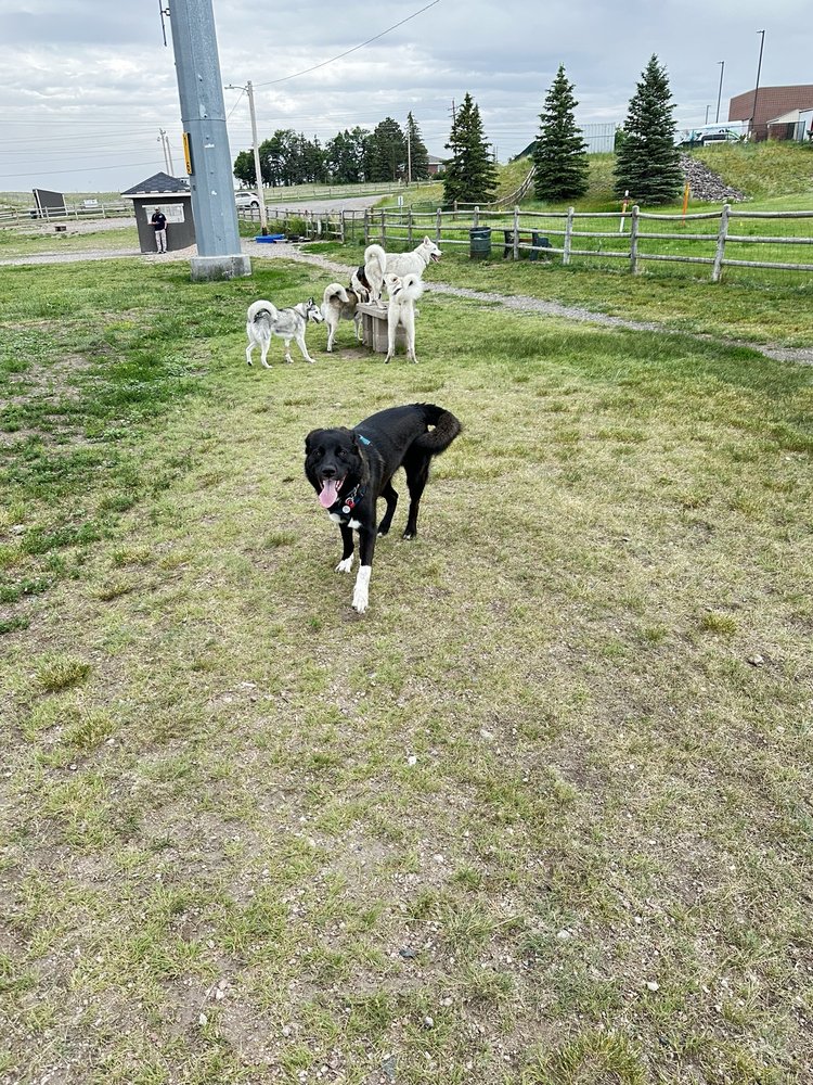 Nancy Mockler Dog Park